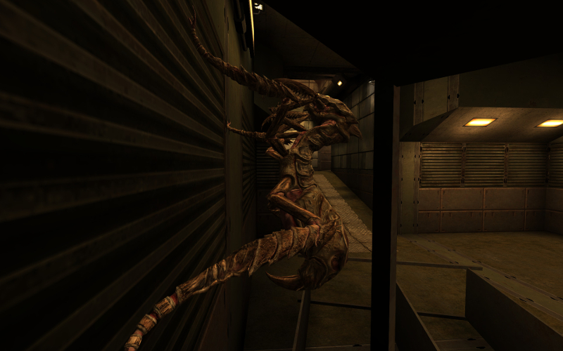 perseus_mantis